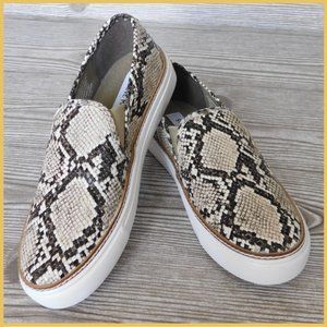 Steve Madden Gills Sneakers
